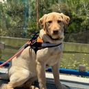 Bark Busters In Home Dog Training - San Mateo County - Dog Training