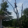 CG Arborist Services gallery