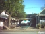 Chloe's - Garden Centers