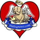 Chicagoland Pet Cremation - Pet Cemetery Equipment & Supplies