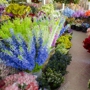 Pedals Flower Shop