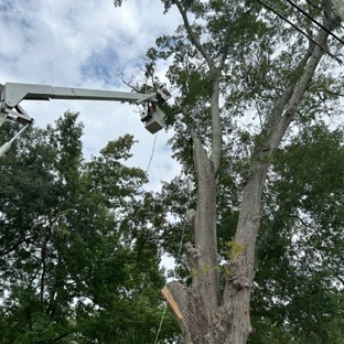 RS Tree Service - Petal, MS