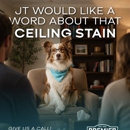 Premier Restoration - Water Damage Restoration