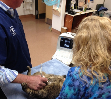 Mt Bachelor Veterinary Hospital - Bend, OR