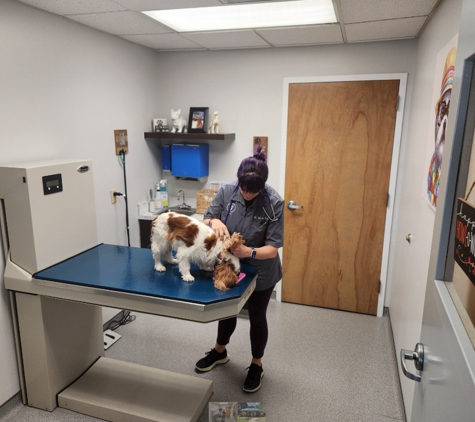 VCA Cornerstone Animal Hospital - Cary, NC