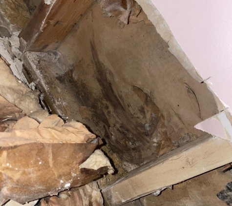 Flood Damage Pro - Alexandria, VA