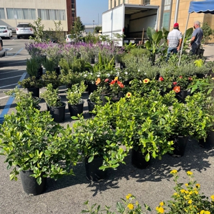 Burbank Farmers Market - Burbank, CA