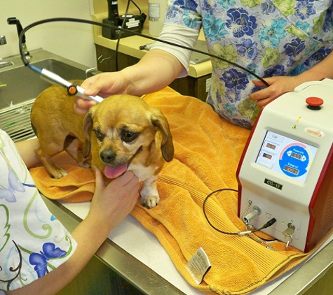 Green River Veterinary Hospital - Auburn, WA