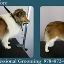 Bos Paws Grooming - Pet Grooming
