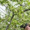Jones Tree Service gallery