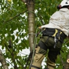 USAF Tree Service gallery