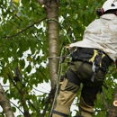 USAF Tree Service - Tree Service