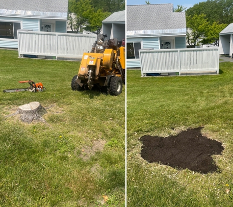 Stump Wrecker - Latham, NY. Tree Stump East Greenbush NY