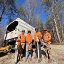 Arborall Tree Service - Arborists