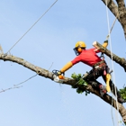 Highpoint Tree Care