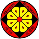 Seishin Budokan - Shisei Ryu Aiki Budo - Martial Arts Instruction