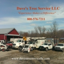 Dave's Tree Service LLC - Tree Service