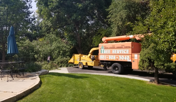 Grizzly's Tree Service & Landscaping - Salt Lake City, UT