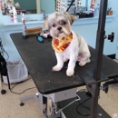 Ceci's Pets Paradise - Pet Grooming