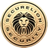 SecureLion Security - Woodland Hills Security Guard Services gallery