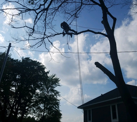 Tip Top Tree Service - West Branch, MI