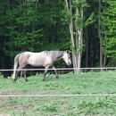 Willow Run Stable LLC - Horse Stables