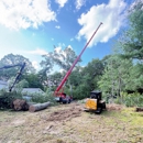 Martel Crane Service & Tree Removal - Tree Service