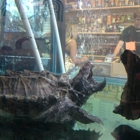 Hogtown Reptile Shop Inc