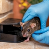 Mid-Atlantic Pest Control gallery