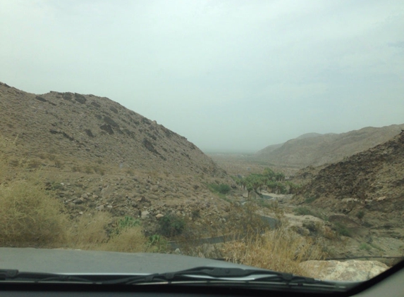 Indian Canyons - Palm Springs, CA