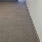 iCleanThatShit Carpet Cleaning