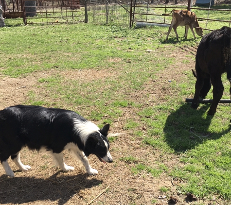 L and B Farm - Eustace, TX