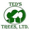 Ted's Trees, Ltd. gallery