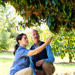 Bartlett Tree Experts - Charlottesville, VA