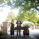 Charleston Flutist - Musicians