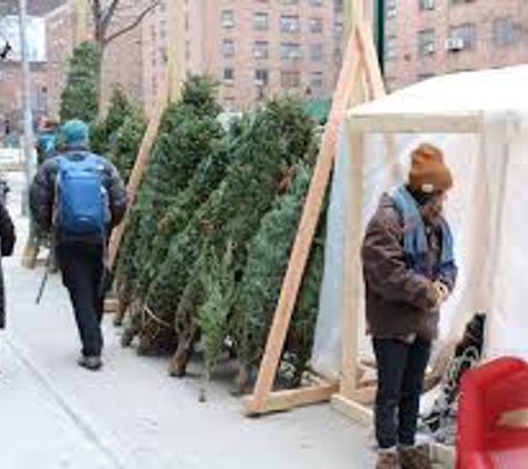 Christmas Tree Brooklyn - Brooklyn, NY
