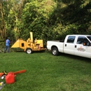 TriCounty Tree Service - Tree Service