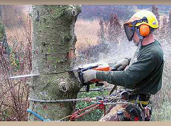 Daves Tree Service of Michigan Inc. - Traverse City, MI