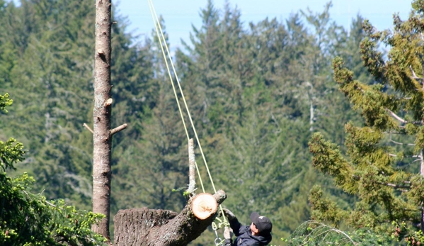 Pineda Tree Service - Woodside, CA