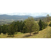 Gallery Image Number 2