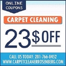 Carpet Cleaner Rosenberg - Carpet & Rug Cleaners