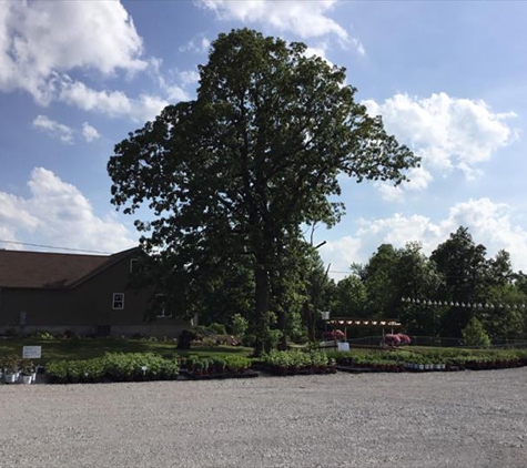 Homestead Greenhouse - Crofton, KY