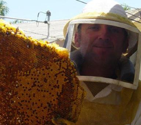 The Bee Guys - Los Angeles, CA