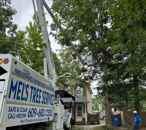 Mel's Tree Service - Lindenwold, NJ