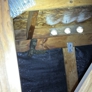 Photo #01