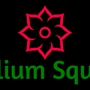 Trillium Square Advisors LLC