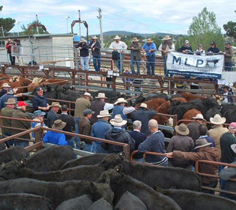 Monaro Livestock & Property Pty Ltd