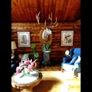 Predator Taxidermy - Taxidermists