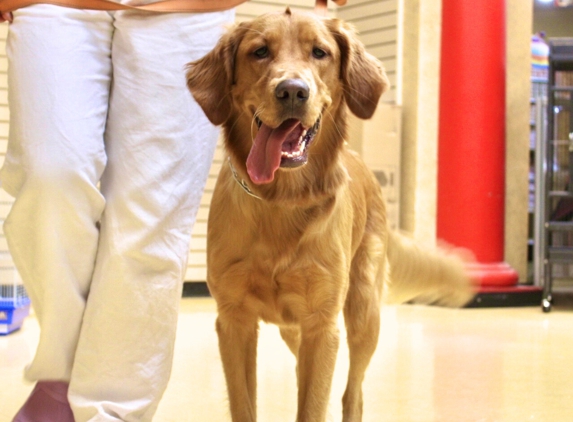 Feeders Pet Supply Obedience & Training - Louisville, KY