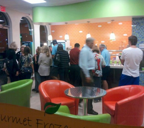 Fro Yo Frenzy - Boca Raton, FL